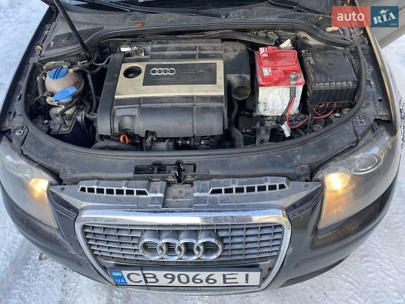 2005 Audi A3, VIN WAUZZZ8PX6A068261:plate — фото 1 (autoria)