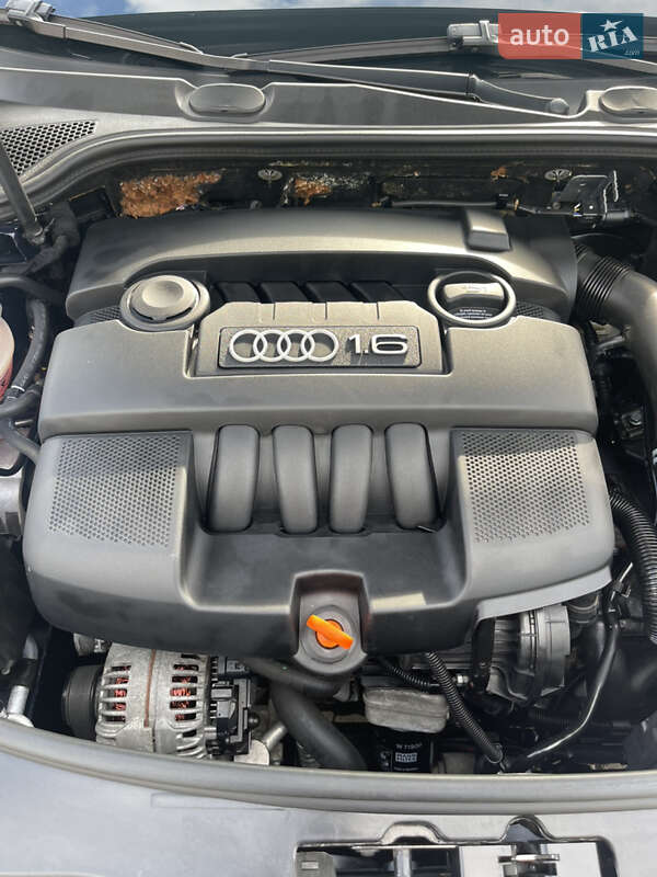 Хэтчбек Audi A3 2004 в Сваляве фото 12 Хэтчбек Audi A3 2004 в Сваляве