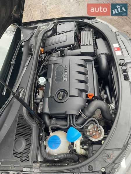 Хэтчбек Audi A3 2006 в Харькове фото 2 Хэтчбек Audi A3 2006 в Харькове