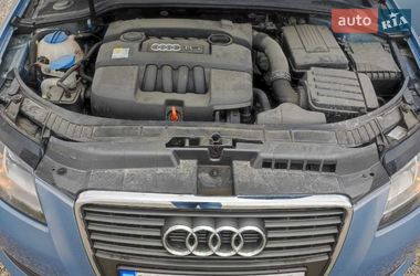 Хетчбек Audi A3 2009 в Тернополі фото 18 Хетчбек Audi A3 2009 в Тернополі