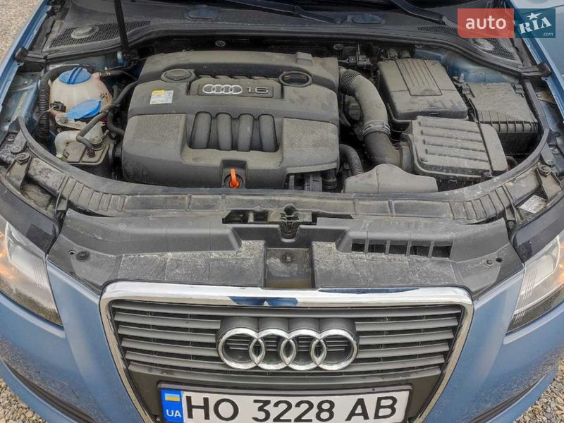 Хетчбек Audi A3 2009 в Тернополі фото 18 Хетчбек Audi A3 2009 в Тернополі