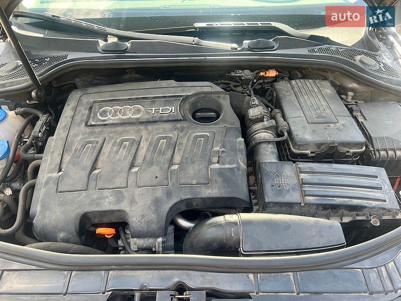 Хэтчбек Audi A3 2011 в Луцке