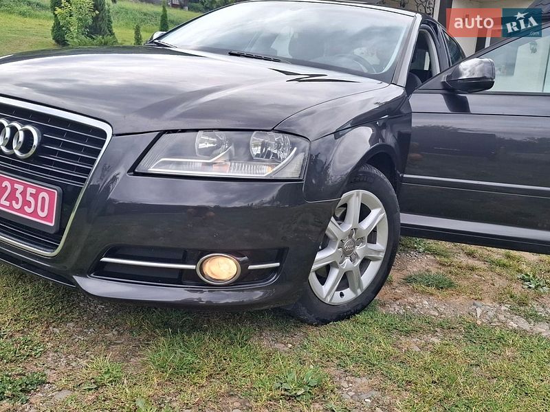 Хэтчбек Audi A3 2010 в Верховине фото Хэтчбек Audi A3 2010 в Верховине