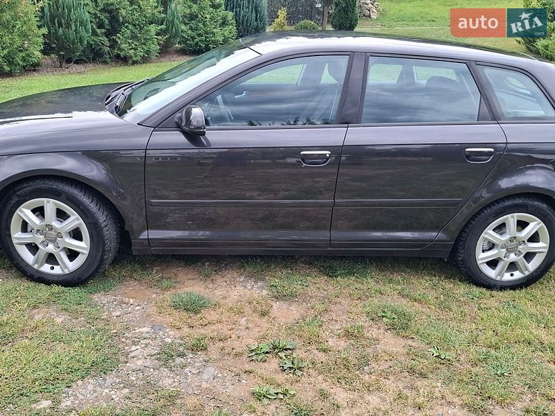 Хэтчбек Audi A3 2010 в Верховине фото 20 Хэтчбек Audi A3 2010 в Верховине