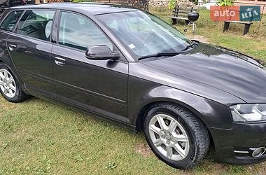 Хэтчбек Audi A3 2010 в Верховине фото 21 Хэтчбек Audi A3 2010 в Верховине