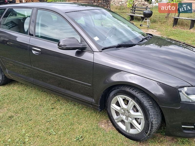 Хэтчбек Audi A3 2010 в Верховине фото 21 Хэтчбек Audi A3 2010 в Верховине