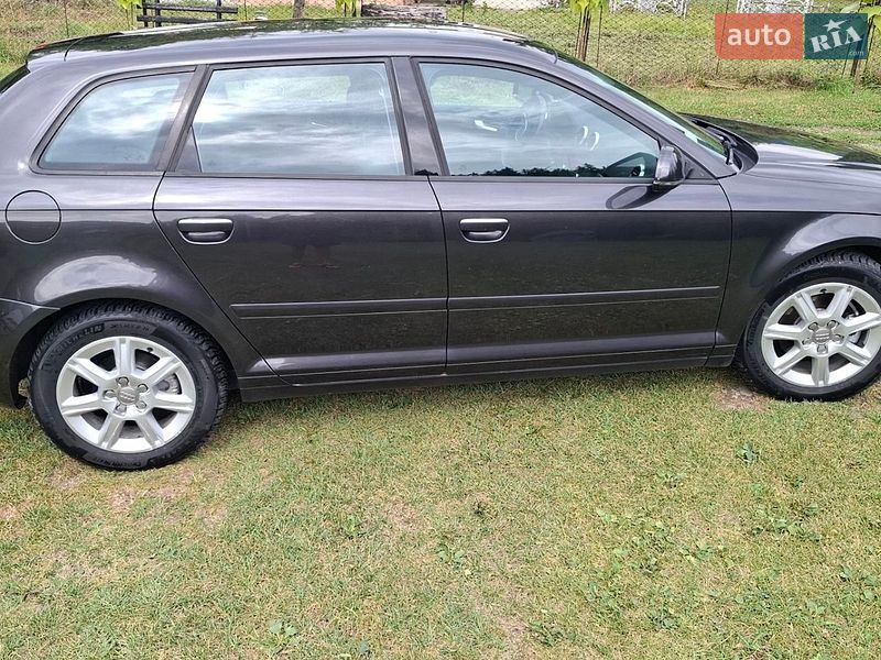 Хэтчбек Audi A3 2010 в Верховине фото 24 Хэтчбек Audi A3 2010 в Верховине