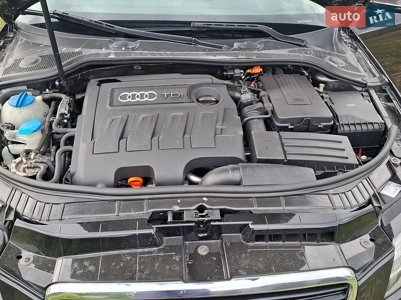 Хэтчбек Audi A3 2010 в Верховине фото 5 Хэтчбек Audi A3 2010 в Верховине
