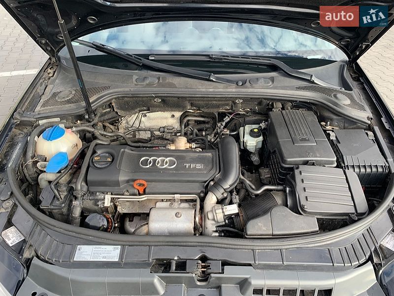 Хетчбек Audi A3 2009 в Луцьку