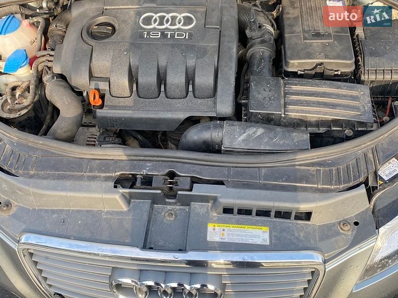 Хэтчбек Audi A3 2009 в Черкассах