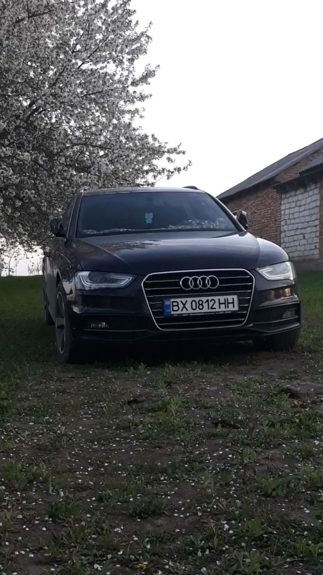 2015 Audi A4 - мініатюра 4