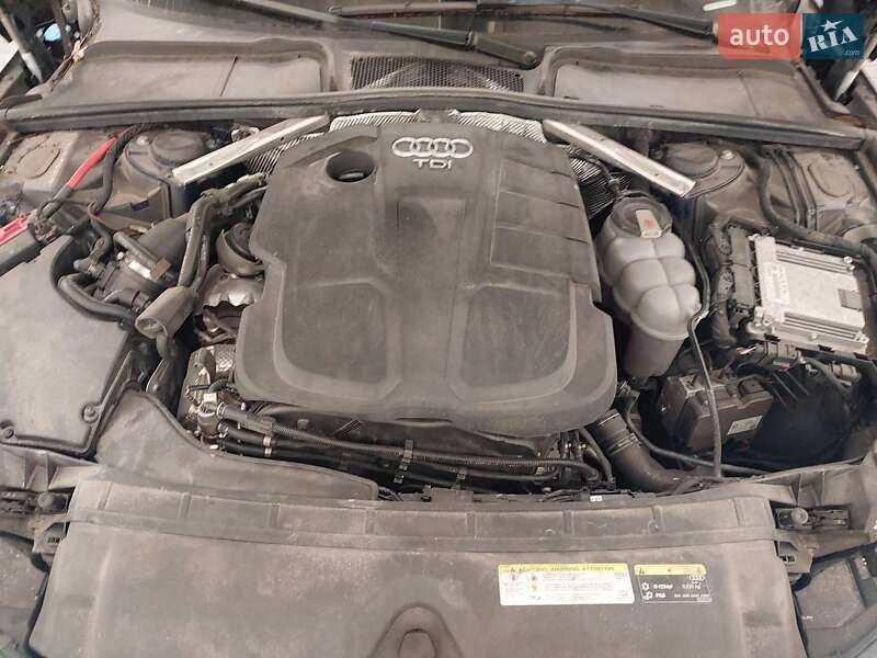 Универсал Audi A4 2019 в Луцке