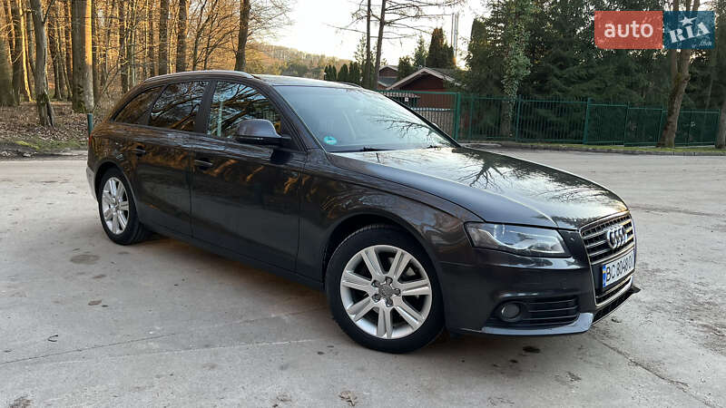 Універсал Audi A4 2009 в Брюховичах