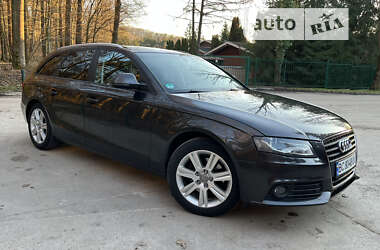 Універсал Audi A4 2009 в Брюховичах