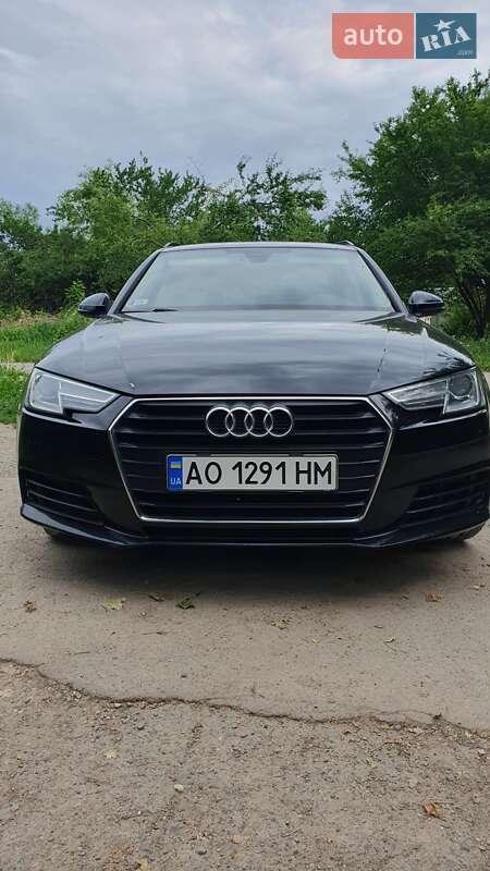 Універсал Audi A4 2016 в Береговому
