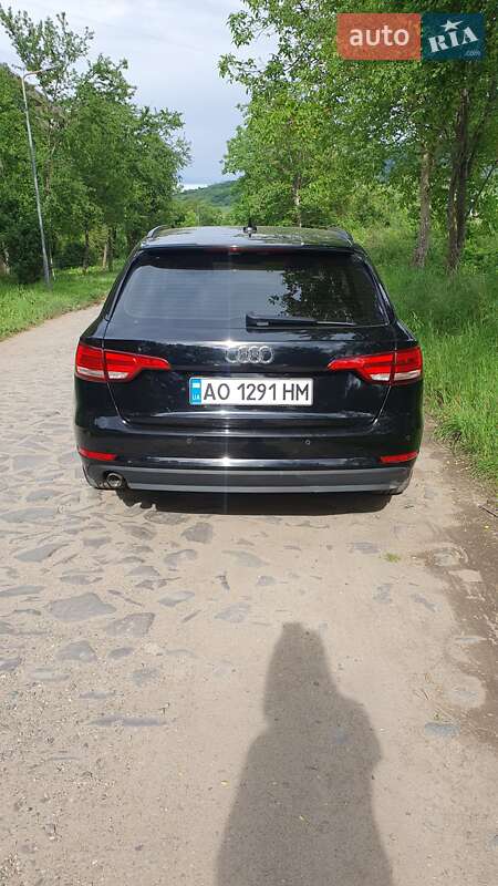 Універсал Audi A4 2016 в Береговому