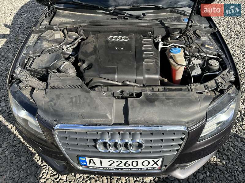 Универсал Audi A4 2010 в Смеле