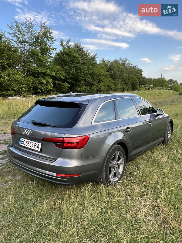Универсал Audi A4 2016 в Каменке-Бугской