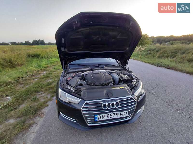 Седан Audi A4 2017 в Звягеле