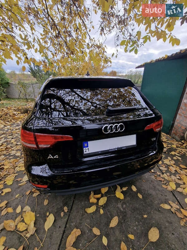 Універсал Audi A4 2017 в Кременчуці