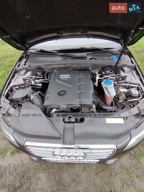Универсал Audi A4 2010 в Умани фото 15 Универсал Audi A4 2010 в Умани