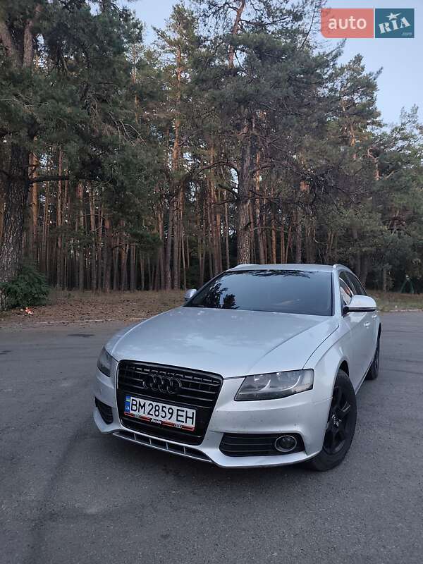 2008 Audi A4, VIN WAUZZZ8K09A004898:plate — фото 1 (autoria)