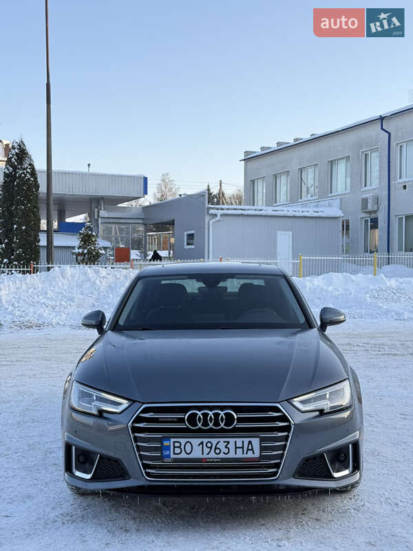 2019 Audi A4, VIN WAUENAF46KN018769:plate — фото 1 (autoria)