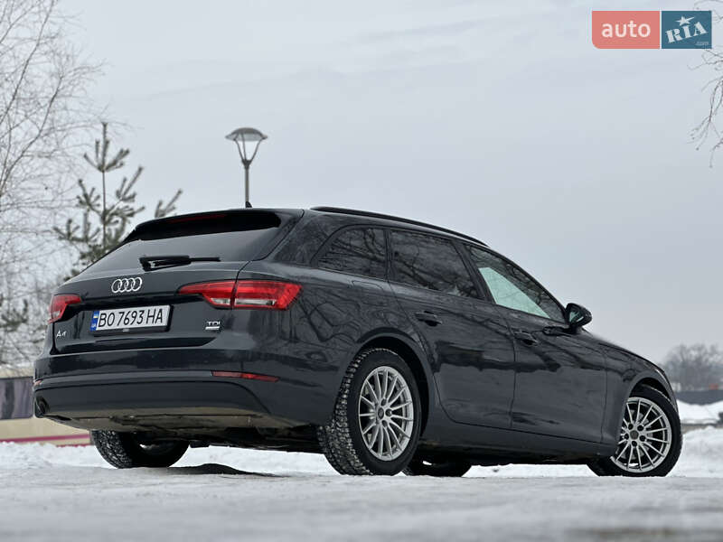 Універсал Audi A4 2016 в Дрогобичі