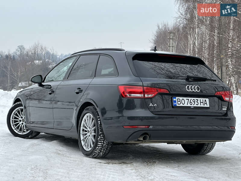 Універсал Audi A4 2016 в Дрогобичі