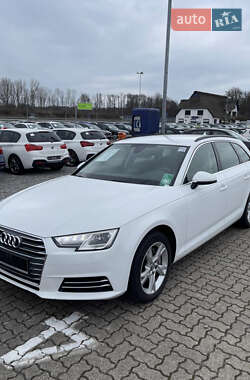 Універсал Audi A4 2017 в Чернівцях