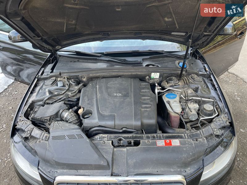 Універсал Audi A4 2009 в Луцьку
