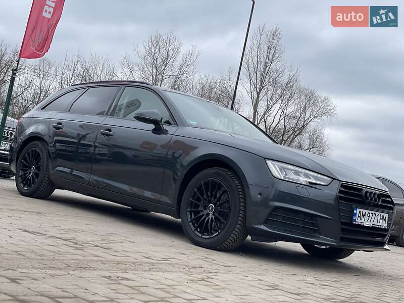 Универсал Audi A4 2017 в Бердичеве