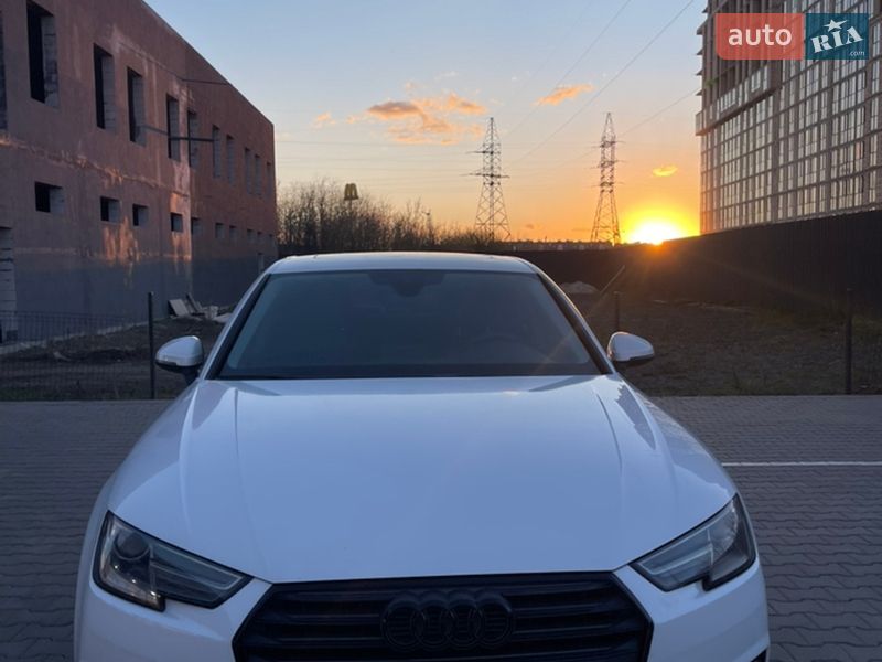 2017 Audi A4, VIN WAUGMAF49HN069347:plate — фото 1 (autoria)