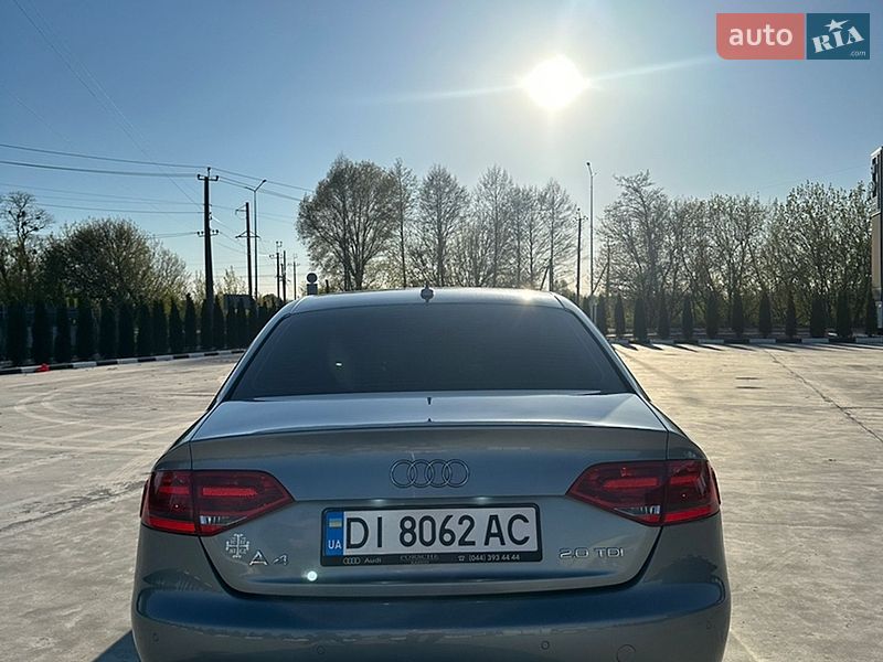 Седан Audi A4 2008 в Звягелі