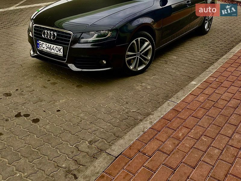 2009 Audi A4, VIN WAUZZZ8KX9A219706:plate — фото 1 (autoria)