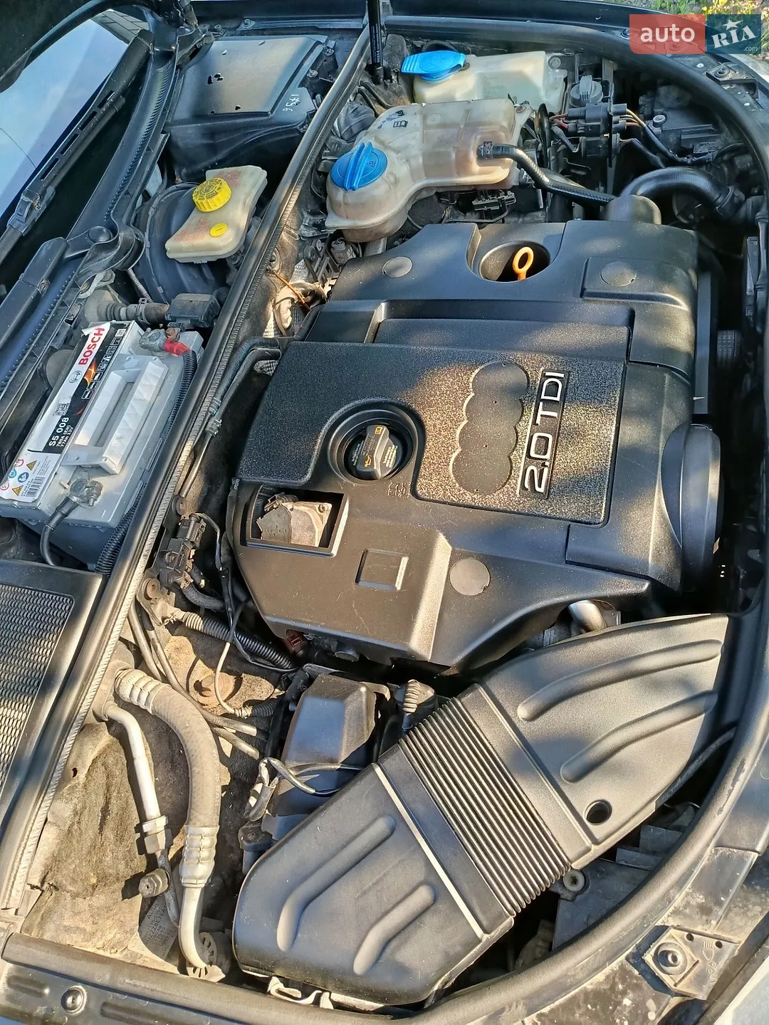 Audi A4 2005 VIN WAUZZZ8E76A155954 фото оголошення 18 з 20
