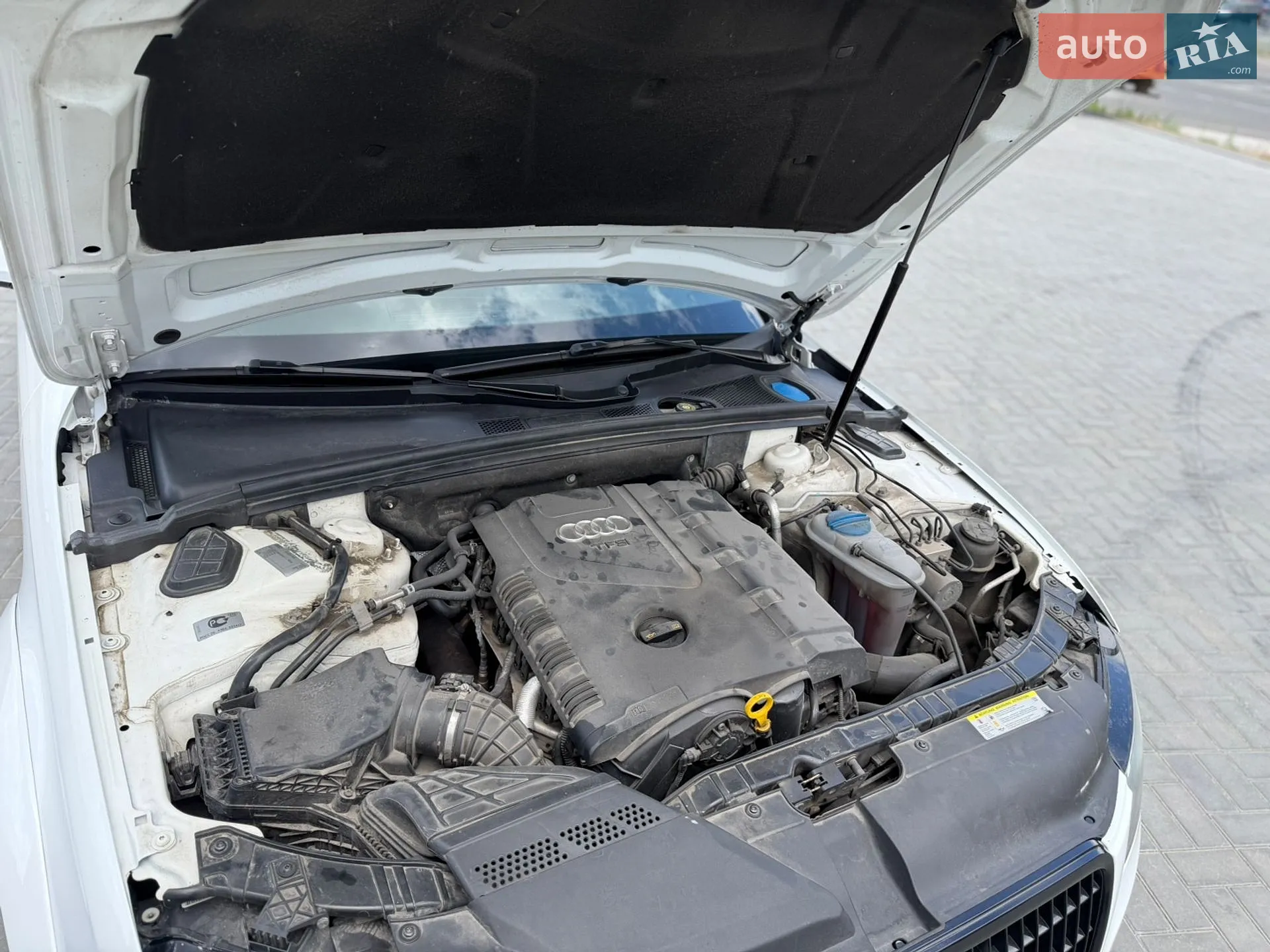 Audi A4 2010 VIN WAUZZZ8K4AA111554 фото оголошення 34 з 37