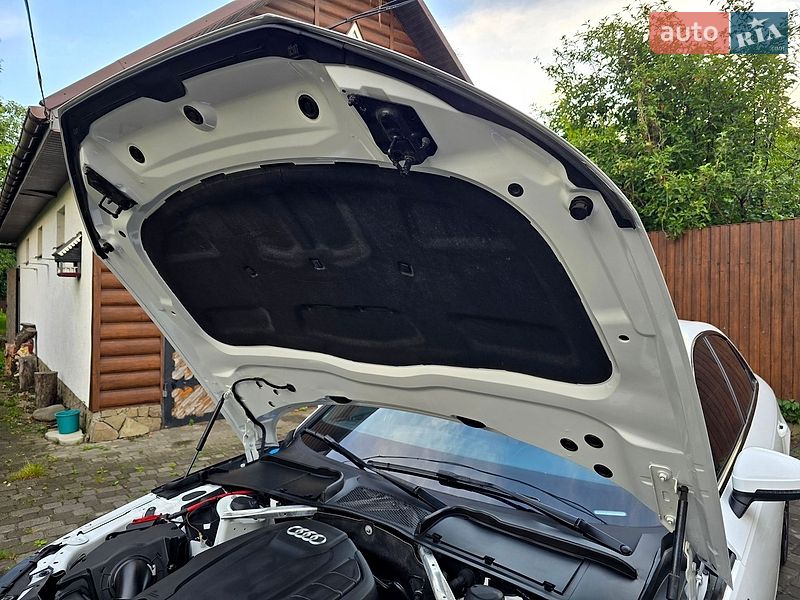 Седан Audi A4 2019 в Полтаве фото 102 Седан Audi A4 2019 в Полтаве