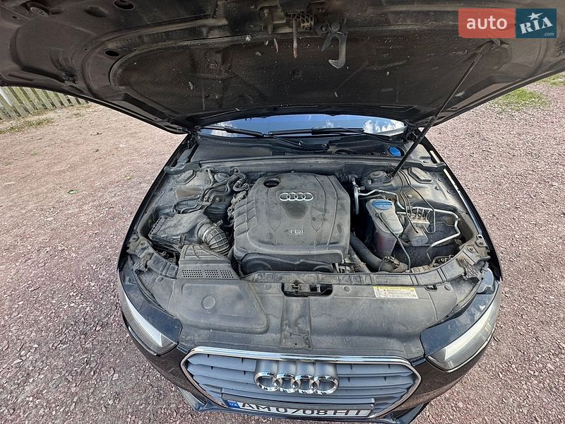 Універсал Audi A4 2013 в Овручі