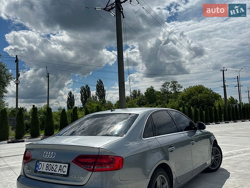 Седан Audi A4 2008 в Звягелі