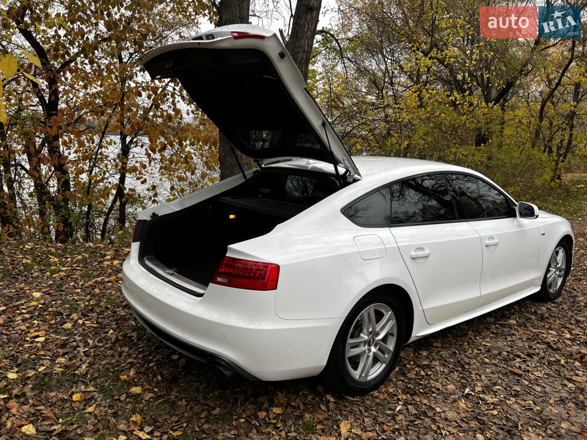 2015 Audi A5 - мініатюра 9