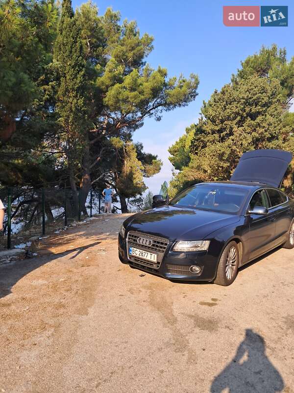 Лифтбек Audi A5 2010 в 