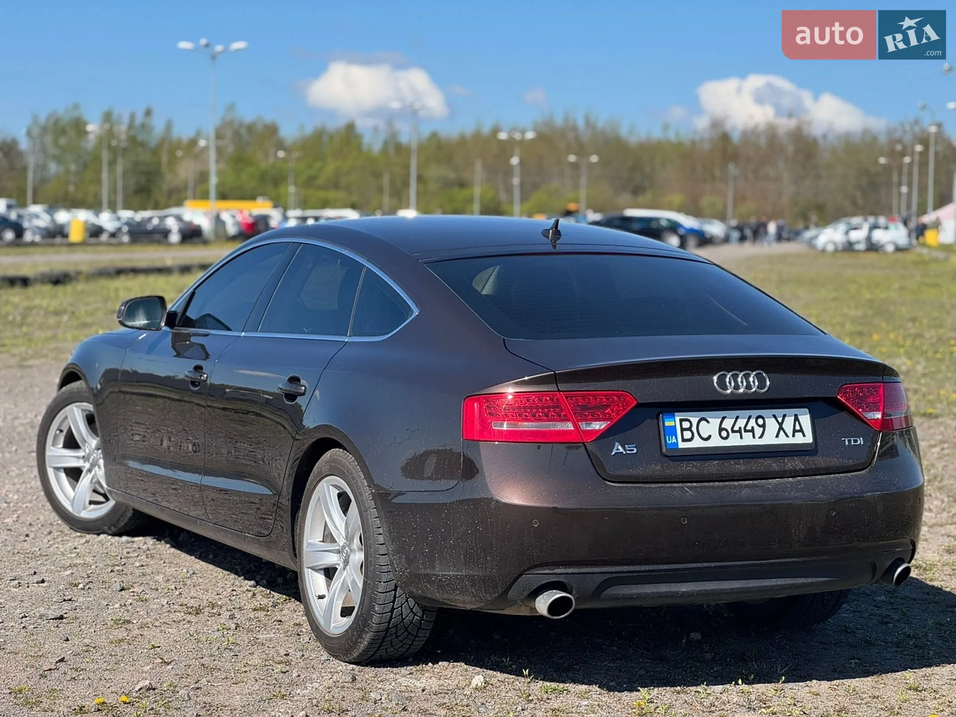 2011 Audi A5 - мініатюра 8