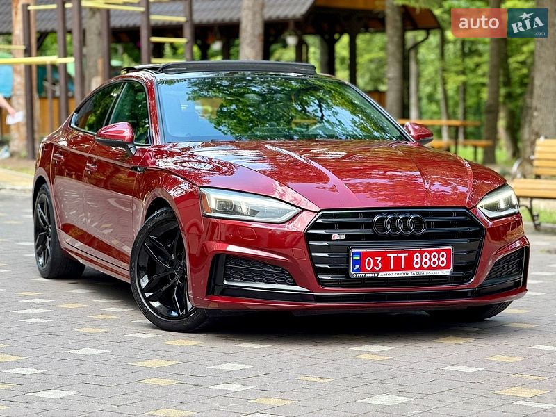 2019 Audi A5, VIN WAUANCF59KA060010:plate — фото 1 (autoria)