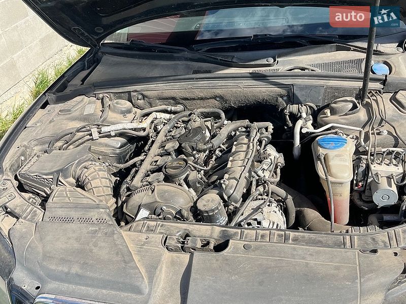 Купе Audi A5 2009 в Березному фото 14 Купе Audi A5 2009 в Березному