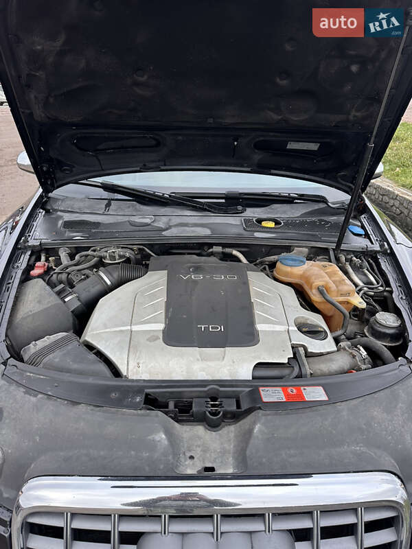 Универсал Audi A6 2006 в Житомире