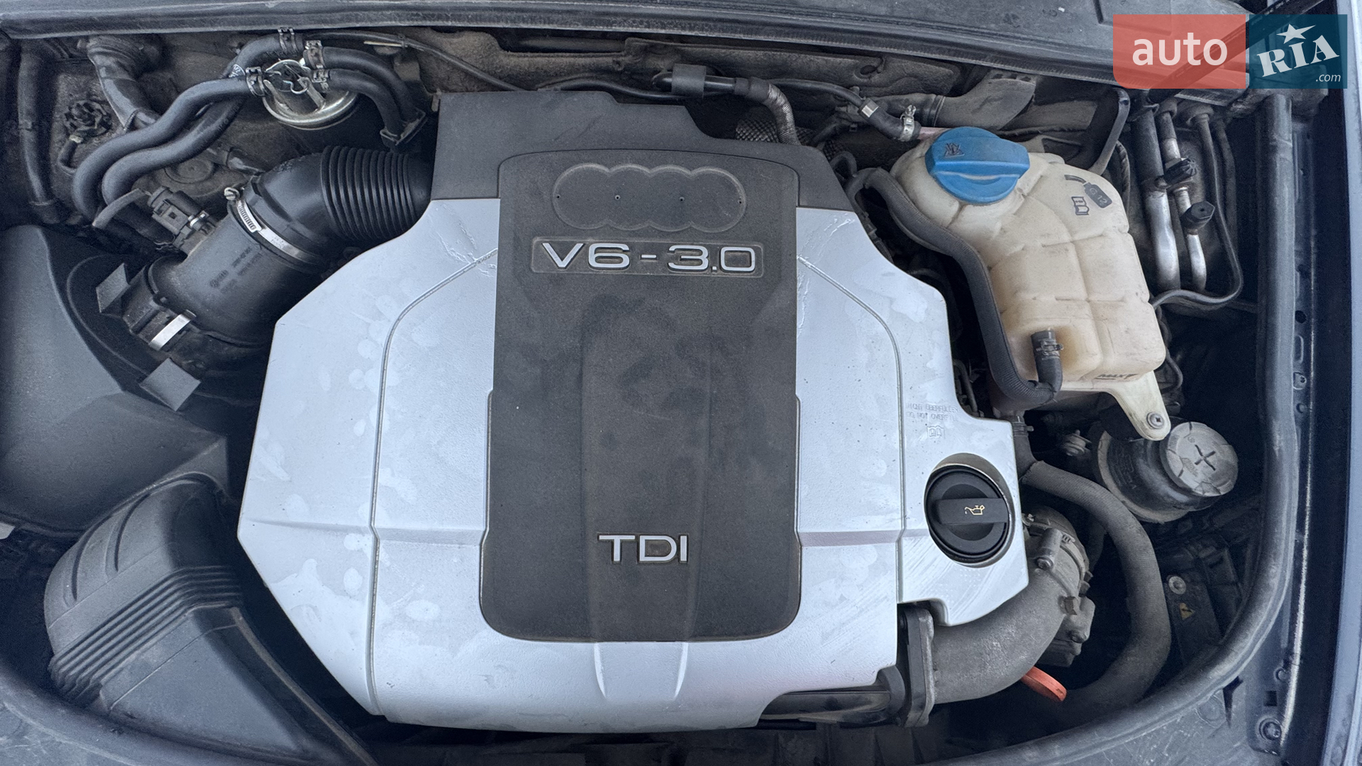 Audi A6 2004 VIN WAUZZZ4F75N025534 фото оголошення 27 з 96