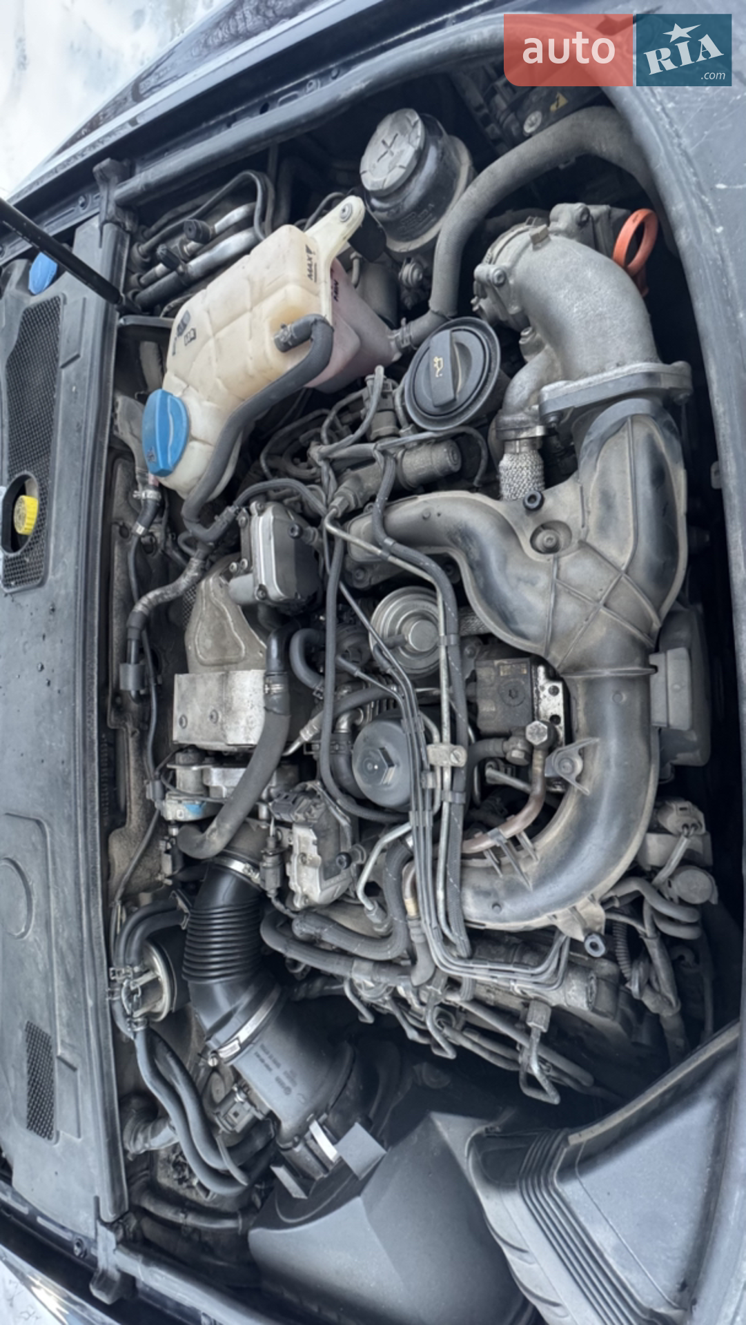 Audi A6 2004 VIN WAUZZZ4F75N025534 фото оголошення 30 з 96
