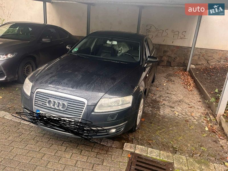 2007 Audi A6, VIN WAUZZZ4FX8N030151:plate — фото 1 (autoria)