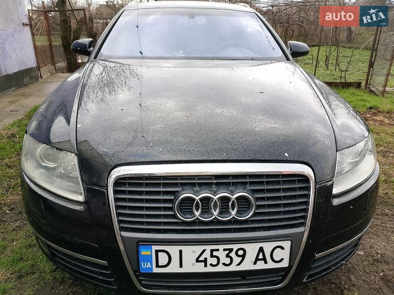 2007 Audi A6, VIN WAUZZZ4F78N037462:plate — фото 1 (autoria)